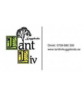 Bow return spring 6mm till Thomas Såg 310E