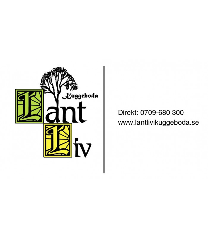 Bow return spring 6mm till Thomas Såg 310E