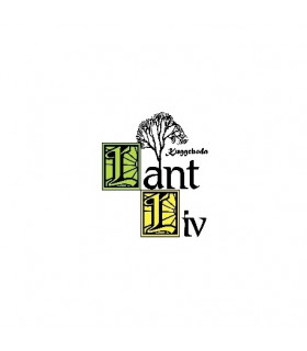 SUGSLANG KOMPLETT OLJERENARE