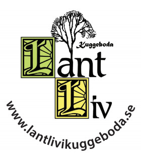 SLANGPAKET 5M PLASMA 26