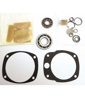 Tune up kit 2190-tk1 2190tk1