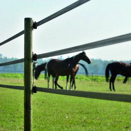 Powerline Band 40mm (terra,...