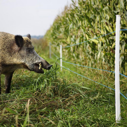Duopack Blå Tråd 2x400m