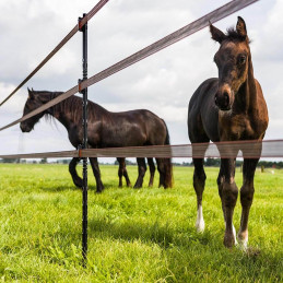 Turboline Band Clip För...