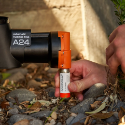 Stort paket med 30 stycken 16 grams kolsyrepatroner för Goodnature A24 musfällor