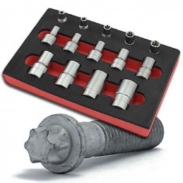 Torxplus Hylssats inv. 4-24