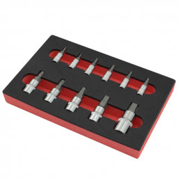 Torxplus Hylstappsats 10-60
