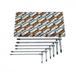 Torxsats T-handtag