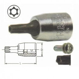 Torxtapp hål 1/4" TH15...