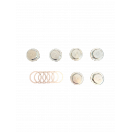 Oljeplugg M22 x 1.5,  6st