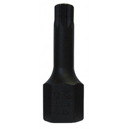 XZN 12 lång